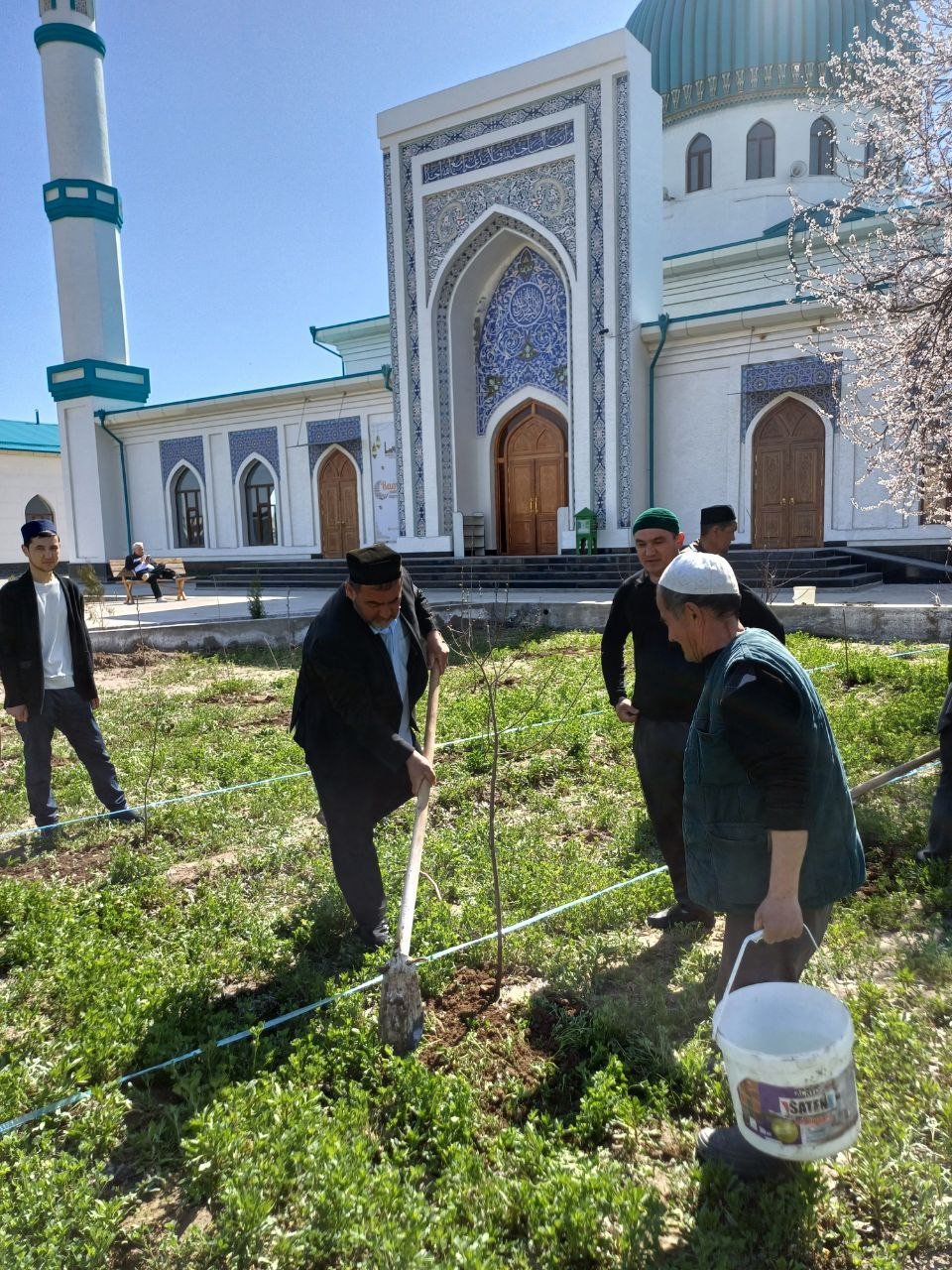 "Yashil makon" loyihasi doirasidagi ishlar