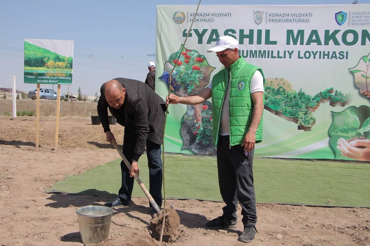 Urganch tumani hokimligi tomonidan "Yashil makon" umummilliy loyihasi asosida  "Hokimlik bog'i" tashkil etildi.